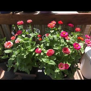 Meet your Posher, Tien